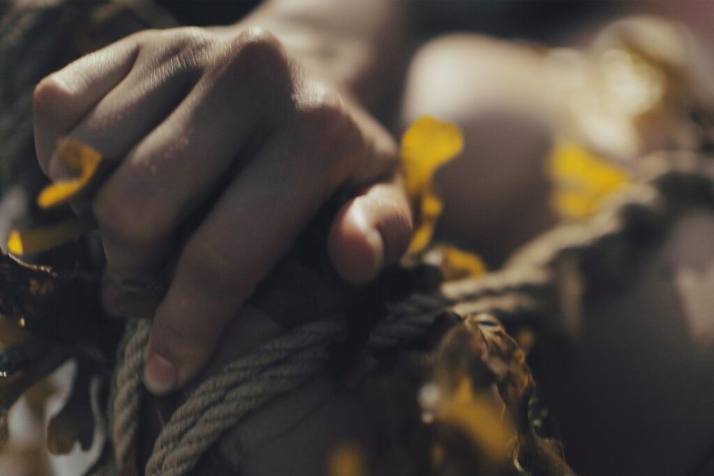 Embracing radical intimacy in environmental activism Humans’ relationship with the Earth and with non-human life—and, in fact, with each other—is fraught with exploitation on the basis of difference. But do the differences justify our disconnect? When and how is it important to acknowledge difference, or else to blur the line in favor of radical connectedness? Curator and researcher Zoë De Luca Legge (@eternaltadpole) explores the intersections of art, activism, and academia within the realm of ecosexuality. Through her writing, she deconstructs traditional understandings of nature, environment, and identity, elevating artistic parallels between interpersonal eroticism and eroticisation of nature. She posits that innate human desires have long been tied to ecological flourishing and that ecosexuality, as an extension of queer ecology, is an effective response to the divisive values of the contemporary world.