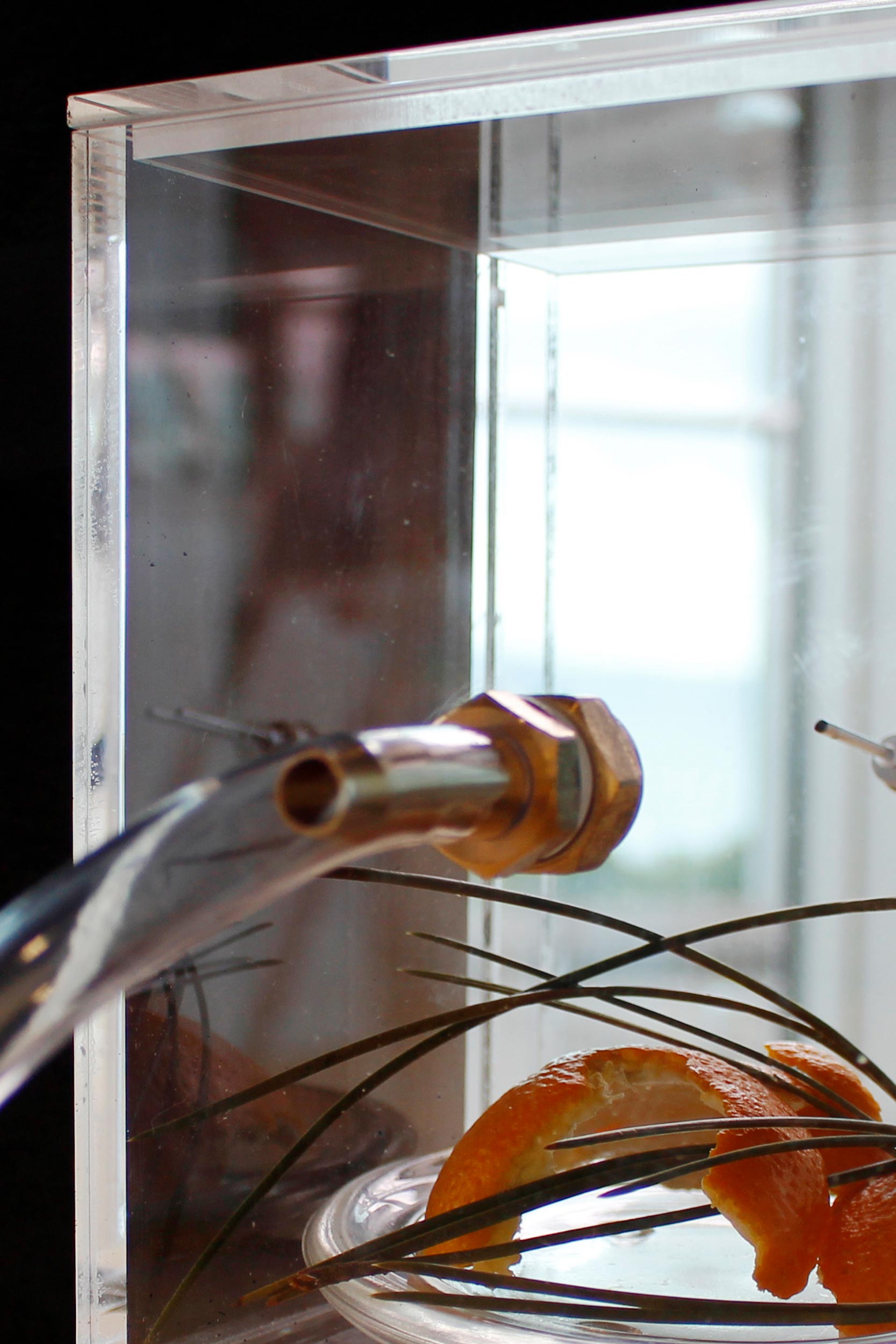 Since 2010, Genomic Gastronomy has developed a food analytic based on inquiry, experimentation, and the shared table. From crafting interdisciplinary dialogues about the future of Egyptian foodscapes to documenting the terroir of wheatfields burnt by California wildfires, the artists at Genomic Gastronomy consider the future of food with both breadth and depth. While mapping food landscapes was the impetus of their collaboration, the Center for Genomic Gastronomy has blossomed into a participatory invitation to the sensual and global implications of agricultural production in the modern world. Food and Agriculture Editor @madeleine.freund delves into agricultural loss, imaginative food technologies, and the fruits of over ten years of collaboration for the Center.